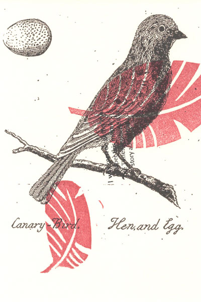 canary bird image